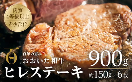 おおいた和牛 ヒレ 900g 冷蔵 | ヒレ ステーキ
