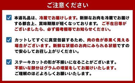 おおいた和牛 ヒレ 900g 冷蔵 | ヒレ ステーキ
