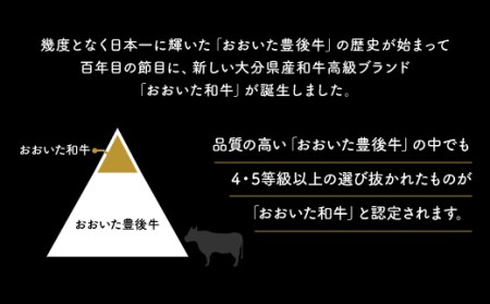 D-06 「おおいた和牛」モモステーキ3枚（150ｇ×3枚）