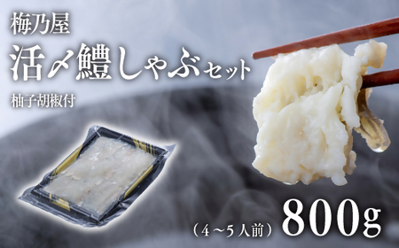 活〆鱧しゃぶしゃぶセット800g(4~5人前) | 豊後高田市 はも