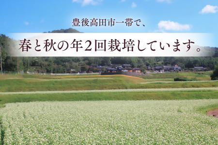 豊後高田産だったんそば茶500g|そば茶