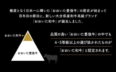 C-03A おまかせすき焼きセット500g×2