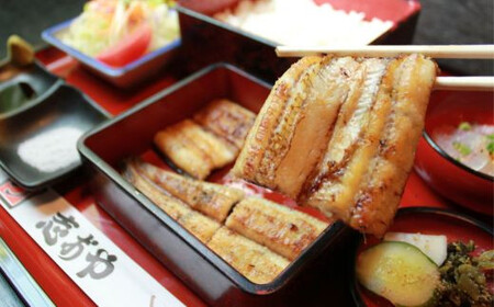 うなぎ 蒲焼白焼セット各1本九州産 | 豊後高田市 うなぎ