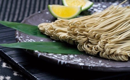 C2 19 韃靼そば なまそばセット つゆ付 大分県豊後高田市 ふるさと納税サイト ふるなび