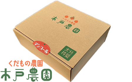 木戸農園のアンコール 約4kg（秀品） 果物 数量限定 期間限定 九州 ＜113-003_5＞