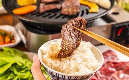 おおいた和牛ホルモン（ハラミ 150g）【ニード牧場】 九州 ＜129-017_6＞