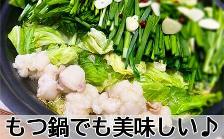 おおいた和牛ホルモン(コプチャン 200g×3)【ニード牧場】 九州 <129-018_6>