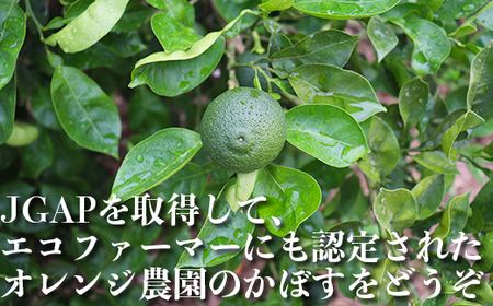 オレンジ農園のかぼす（大分県杵築市産） 約4kg 果物 期間限定 数量限定 九州 ＜114-004＞