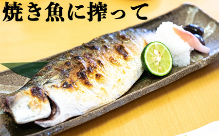 オレンジ農園のかぼす（大分県杵築市産） 約4kg 果物 期間限定 数量限定 九州 ＜114-004＞