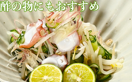 オレンジ農園のかぼす（大分県杵築市産） 約4kg 果物 期間限定 数量限定 九州 ＜114-004＞