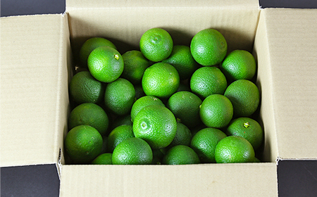 オレンジ農園のかぼす（大分県杵築市産） 約4kg 果物 期間限定 数量限定 九州 ＜114-004＞