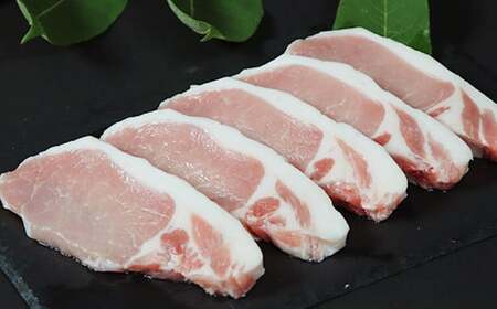 大分県産 米の恵み豚 とんかつ用ロース 計900g（450g×2p） 国産 人気 冷凍 豚肉 米の恵み とんかつ ロース ＜130-018_6＞