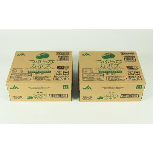 つぶらなカボス 60本(30本入×2ケース) 190g / つぶらな つぶらなカボス ジュース かぼすドリンク 清涼飲料水 人気 子供 おすすめ 果汁飲料 ご当地ジュース かぼす 飲料 60本 詰めあわせ ギフト プレゼント セット 贈答 家庭用 JAフーズおおいた <131-201> つぶらなカボス 60本(30本入×2ケース) 190g / つぶらな つぶらなカボス ジュース かぼすドリンク 清涼飲料水 人気 子供 おすすめ 果汁飲料 ご当地ジュース かぼす 飲料 60本 詰めあわせ ギフト プレゼント セット 贈答 家庭用 JAフーズおおいた <131-201>