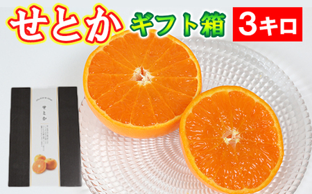 せとか 約3kg（化粧箱入） ／ ミカン みかん 蜜柑 柑橘類 せとか 3kg 先行予約 フルーツ ＜132-007＞