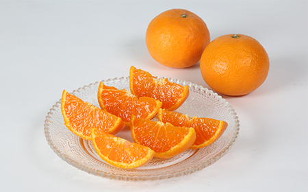 南津海[なつみ] 4kg ／ ミカン みかん 蜜柑 柑橘類 南津海 4kg 先行予約 フルーツ ＜132-009＞