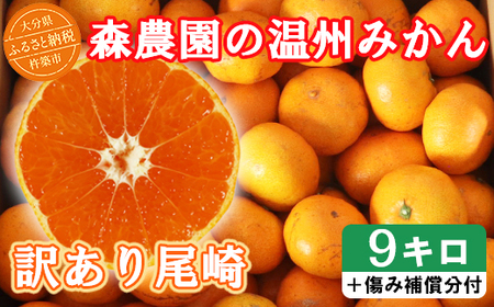 【訳あり品】森農園の温州みかん 尾崎 9kg＋傷み補償分200g ／ ミカン みかん 蜜柑 柑橘 9kg 柑橘類 訳あり フルーツ 温州みかん 12月 12月発送 12月配送 年内発送 年内配送 ＜162-001＞