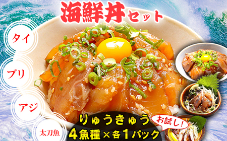 りゅうきゅう4種(真鯛・ぶり・真あじ・太刀魚)[お試し各1食セット] 海鮮丼 漬け丼 大分郷土料理 豊後絆屋 ふるさと納税 魚 冷凍 加工品 惣菜 おすすめ おいしい 刺身 詰め合わせ おせち セット 産地直送 国産 大分県 海鮮 漬け 醤油漬 真空パック 小分け 惣菜 JAL機内食 人気 鯛 タイ たい 鰤 ブリ ぶり 鯵 アジ あじ 太刀魚 タチウオ たちうお ＜101-032＞