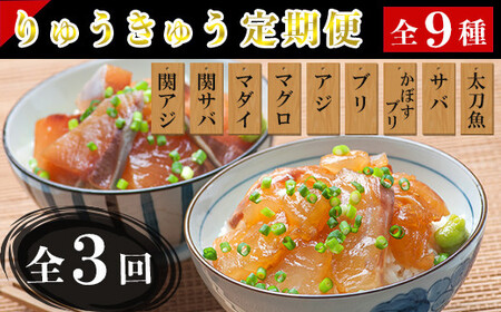 ＜3か月定期便＞りゅうきゅう9種定期便(関あじ・関さば・真鯛・本マグロ・豊後あじ・ぶり・かぼすぶり・豊後さば・太刀魚)[3種×各2食×3回] 海鮮丼 定期便 3回 3ヶ月 漬け丼 大分郷土料理 豊後絆屋 魚 冷凍 クール便 加工品 惣菜 刺身 海鮮 漬け 醤油漬 真空パック 小分け JAL機内食 関アジ 関さば 鯛 マグロ アジ ぶり かぼすぶり さば 太刀魚 ＜101-863＞