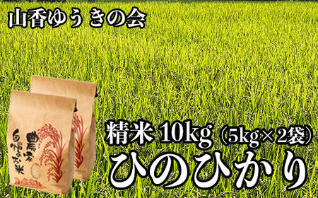 【 令和7年産米 】山香ゆうきの会の米 10kg（精米：ひのひかり） 10kg 米 ＜002-005＞