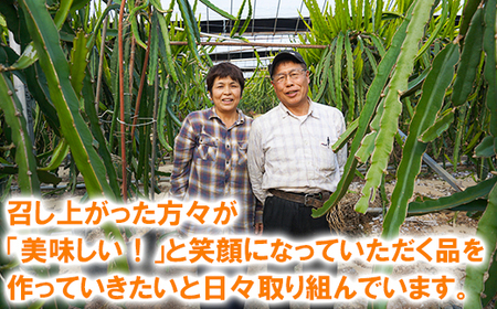 高糖系温州みかん 木戸農園の青島 約5kg （秀品） 果物 数量限定 期間限定 九州 ＜113-019＞