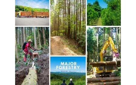 薪 20kg（クヌギ） [つなぐ薪、つづく里山。] ～歴史を受け継ぎ　未来へつなぐ～ 薪 まき マキ 乾燥薪 クヌギ 広葉樹 焚き火 たき火 ストーブ 薪ストーブ キャンプ アウトドア ＜164-001＞