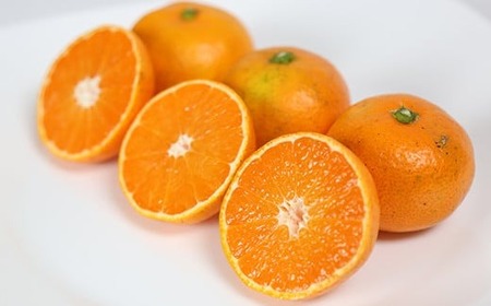 【訳あり品】リトルフルーツファームの温州みかん 約2.5kg / ミカン みかん 蜜柑 柑橘類 訳あり 先行予約 2.5kg 温州みかん フルーツ 果物 <116-021>