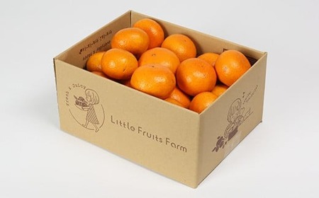 【訳あり品】リトルフルーツファームの温州みかん 約2.5kg / ミカン みかん 蜜柑 柑橘類 訳あり 先行予約 2.5kg 温州みかん フルーツ 果物 <116-021>