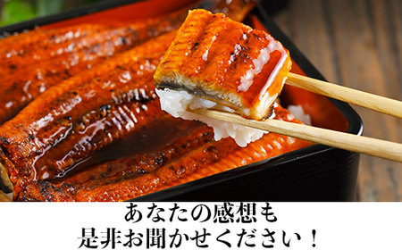 ＜定期便(毎月)全3回＞完全無投薬養殖！大分水産の温泉うなぎ蒲焼（カット）70g×4 国産 九州 ＜104-801＞｜詳細画像