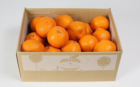 【訳あり・規格外品】野菜ソムリエ石児さんの「はるみ 5kg」 ミカン みかん 蜜柑 柑橘 5kg 柑橘類 はるみ 訳あり フルーツ 先行予約 ＜103-011＞