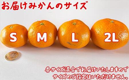 【訳あり】土山農園の温州みかん 屋根掛けハウス栽培 5kg+傷み補償分200g 家庭用 (宮川早生と興津早生の混合)先行予約 柑橘類 フルーツ 12月 1月 期間限定 果物 九州 <050-001>