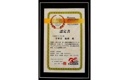 令和6年産新米】山香ゆうきの会の米 10kg（精米：ひのひかり） 10kg 米 新米 ＜002-005_6＞ | 大分県杵築市 |  ふるさと納税サイト「ふるなび」