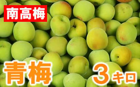 ひらそ農園の青梅 3kg 梅 南高梅 青梅 梅干し 梅干 梅干し用 梅酒用 梅酒 梅シロップ 梅ジャム 3キロ 数量限定 先行予約 ＜004-006＞