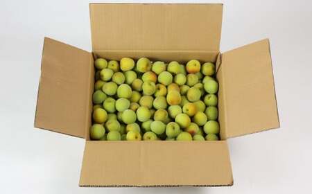 ひらそ農園の青梅 5kg 梅 南高梅 青梅 梅干し 梅干 梅干し用 梅酒用 梅酒 梅シロップ 梅ジャム 5キロ 数量限定 先行予約 ＜004-007＞