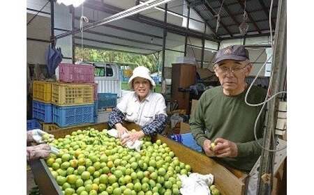 ひらそ農園の青梅 5kg 梅 南高梅 青梅 梅干し 梅干 梅干し用 梅酒用 梅酒 梅シロップ 梅ジャム 5キロ 数量限定 先行予約 ＜004-007＞