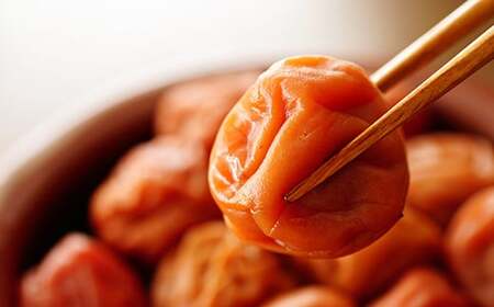 ひらそ農園の完熟南高梅の梅干し　2.5kg（塩分約20%） ＜004-005＞