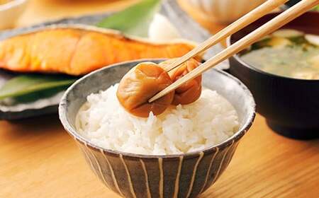 ひらそ農園の完熟南高梅の梅干し　2.5kg（塩分約20%） ＜004-005＞