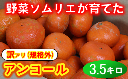 【訳あり・規格外品】野菜ソムリエ石児さんの「アンコール 3.5kg」 ミカン みかん 蜜柑 柑橘 3.5kg 訳あり 甘い 柑橘類 アンコール アンコールオレンジ フルーツ 先行予約 <103-017>