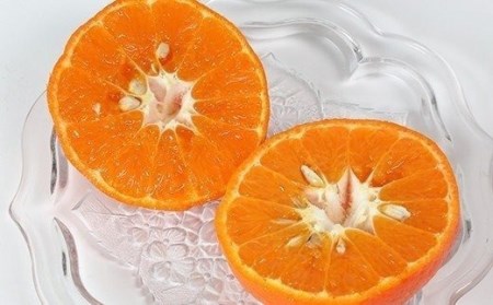 【訳あり・規格外品】野菜ソムリエ石児さんの「アンコール 3.5kg」 ミカン みかん 蜜柑 柑橘 3.5kg 訳あり 甘い 柑橘類 アンコール アンコールオレンジ フルーツ 先行予約 <103-017>