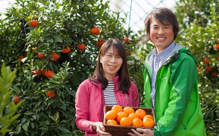 【訳あり・規格外品】野菜ソムリエ石児さんの「アンコール 3.5kg」 ミカン みかん 蜜柑 柑橘 3.5kg 訳あり 甘い 柑橘類 アンコール アンコールオレンジ フルーツ 先行予約 <103-017>