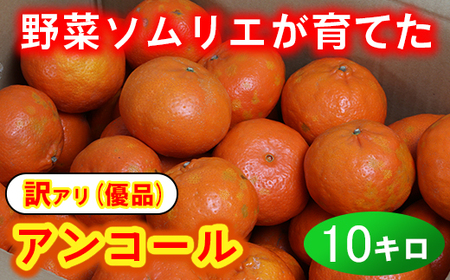 【訳あり・優品】野菜ソムリエ石児さんの「アンコール 10kg」 ミカン みかん 蜜柑 柑橘 10kg 訳あり 甘い 柑橘類 アンコール アンコールオレンジ フルーツ 先行予約 <103-020>