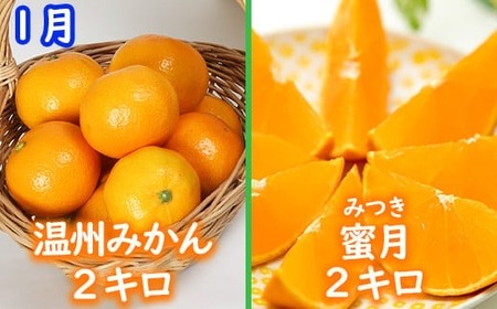 野菜ソムリエ石児さんの訳ありミカン食べくらべ定期便1種2キロ(1月・2月・3月) みかん 柑橘類 定期便 訳あり 先行予約 温州みかん ポンカン アンコール 1月 2月 3月 フルーツ <103-804>