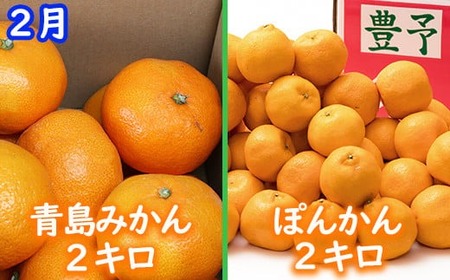 野菜ソムリエ石児さんの訳ありミカン食べくらべ定期便1種2キロ(1月・2月・3月) みかん 柑橘類 定期便 訳あり 先行予約 温州みかん ポンカン アンコール 1月 2月 3月 フルーツ <103-804>