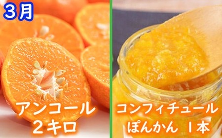 野菜ソムリエ石児さんの訳ありミカン食べくらべ定期便1種2キロ(1月・2月・3月) みかん 柑橘類 定期便 訳あり 先行予約 温州みかん ポンカン アンコール 1月 2月 3月 フルーツ <103-804>