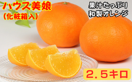 ハウス美娘 約2.5kg(化粧箱入) / ミカン みかん 蜜柑 柑橘類 美娘 オレンジ 2.5kg 先行予約 甘い フルーツ <132-002>