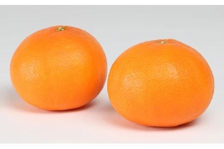 ハウス美娘 約2.5kg(化粧箱入) / ミカン みかん 蜜柑 柑橘類 美娘 オレンジ 2.5kg 先行予約 甘い フルーツ <132-002>