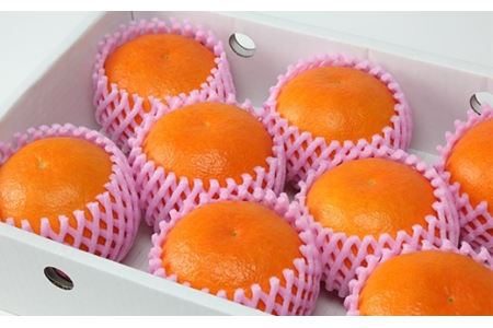 ハウス美娘 約2.5kg(化粧箱入) / ミカン みかん 蜜柑 柑橘類 美娘 オレンジ 2.5kg 先行予約 甘い フルーツ <132-002>