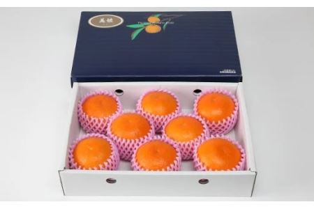 ハウス美娘 約2.5kg(化粧箱入) / ミカン みかん 蜜柑 柑橘類 美娘 オレンジ 2.5kg 先行予約 甘い フルーツ <132-002>