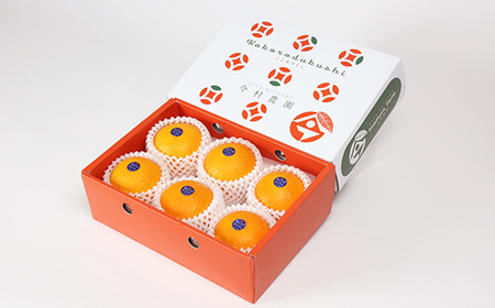 今村農園のおひさまきらりん 約1.5kg【秀品】 果物 期間限定 数量限定 九州 <107-023_7>