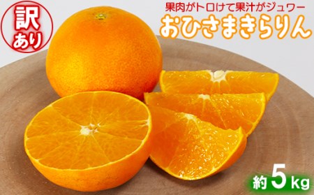 【訳あり・優品】今村農園のおひさまきらりん 約5kg＜107-020_5＞