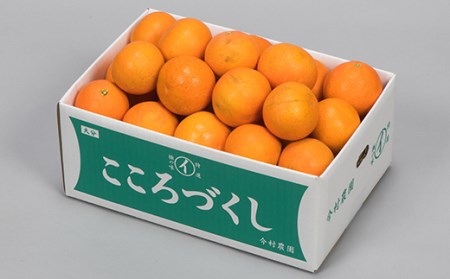 【訳あり・優品】今村農園のおひさまきらりん 約5kg＜107-020_5＞